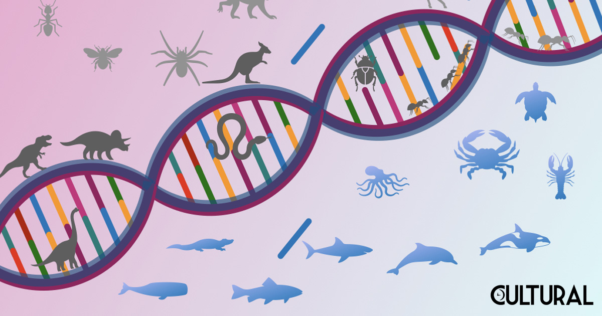 Relación entre genes y la evolución de las especies - geneticahoy.com